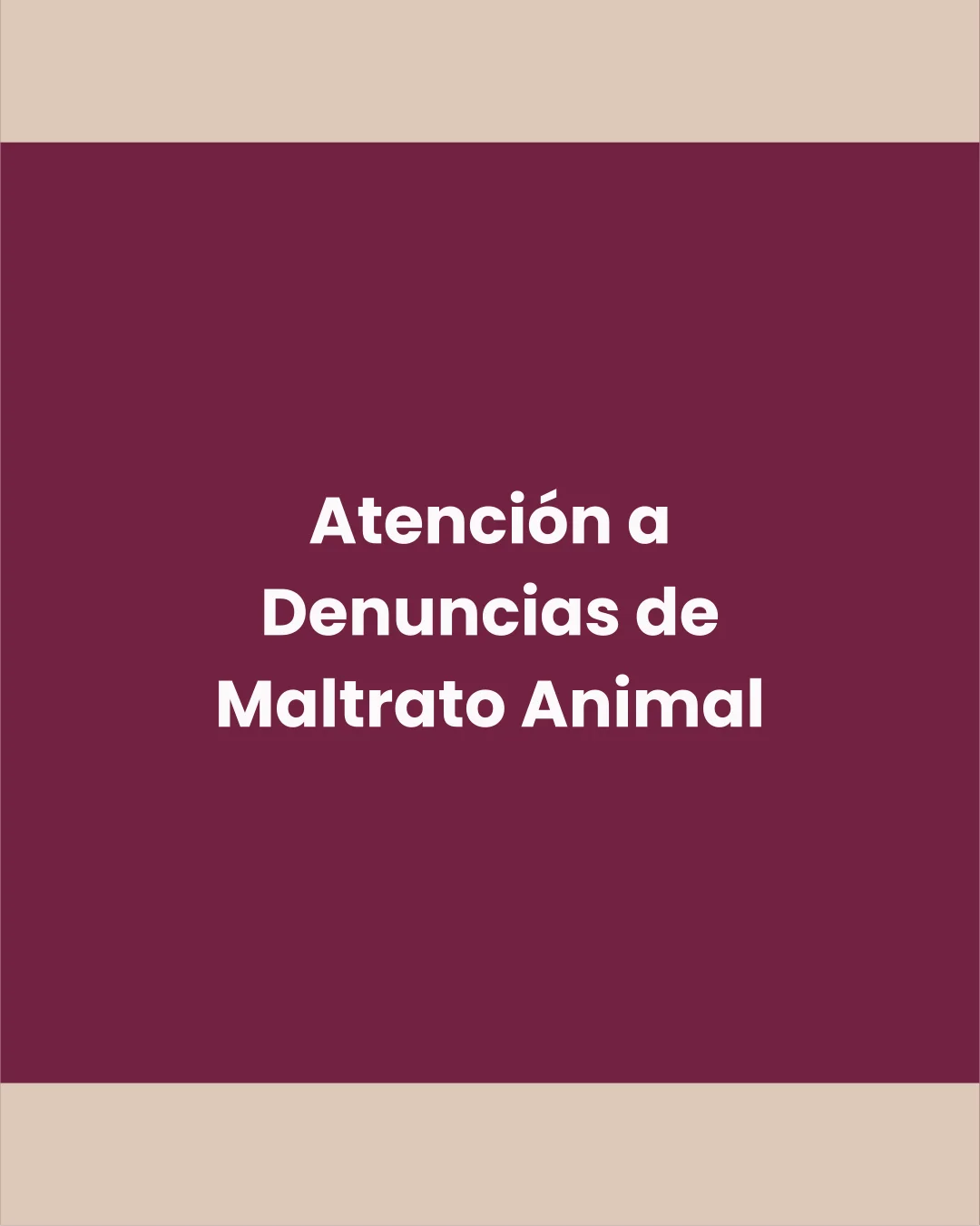 Atención a Denuncias de Maltrato Animal